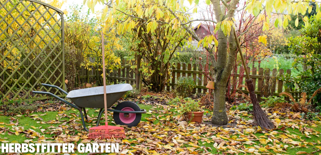 Garten im Herbst