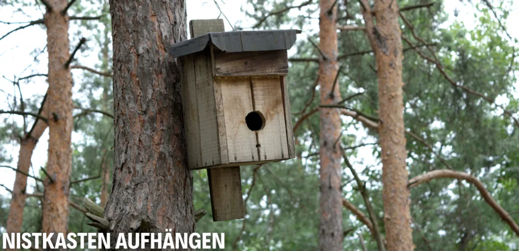 Nistkasten aufhängen