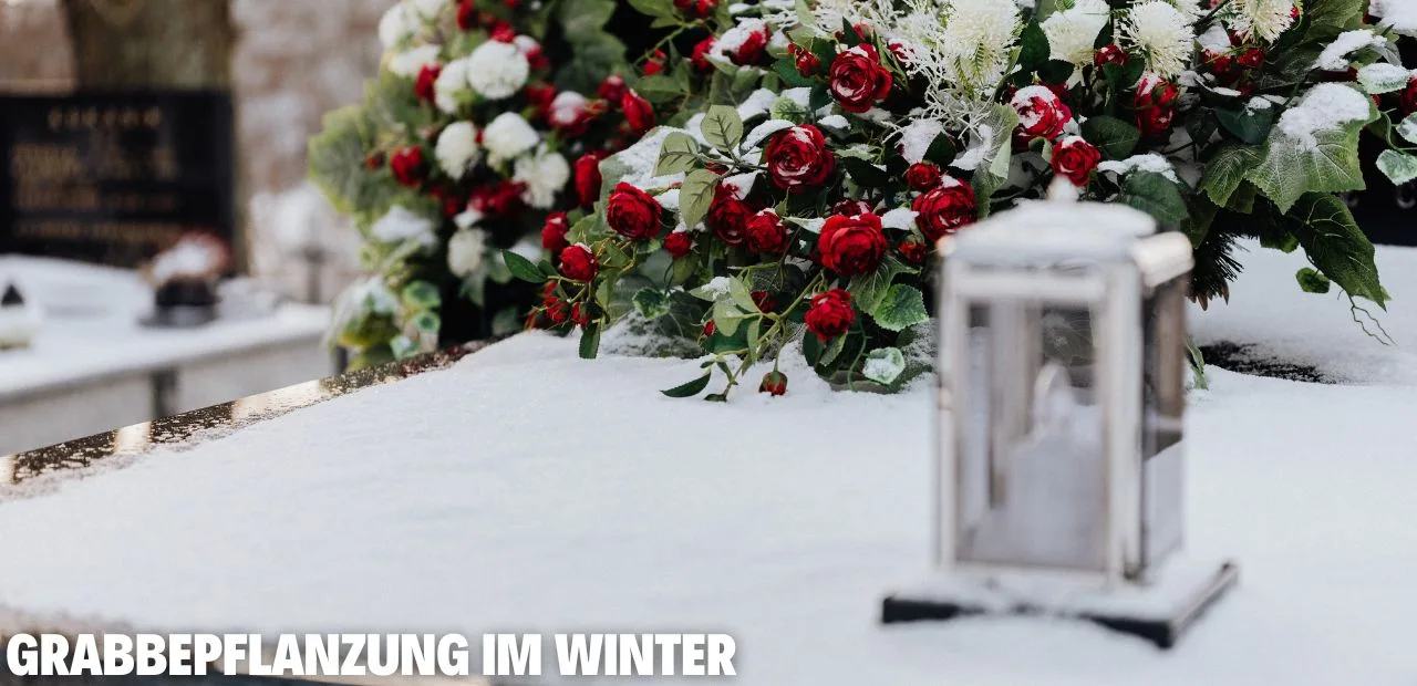 Grabbepflanzung im Winter