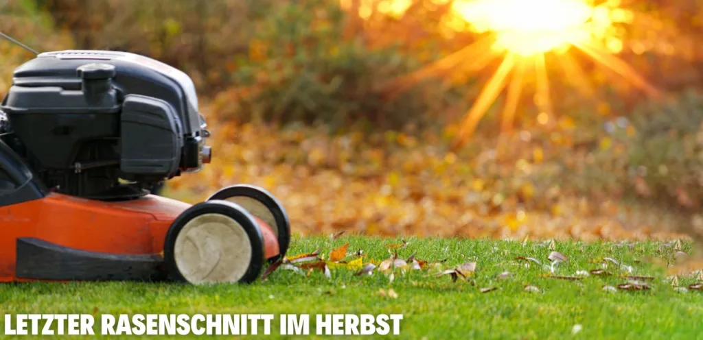 Letzter Rasenschnitt im Herbst