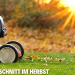 Letzter Rasenschnitt im Herbst