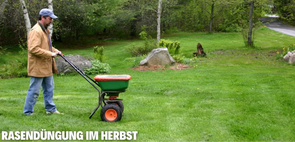 Rasendüngung im Herbst