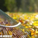 Rasenpflege im Herbst