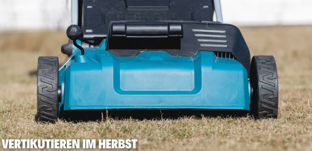 Vertikutieren im Herbst