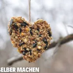 Vogelfutter selber machen