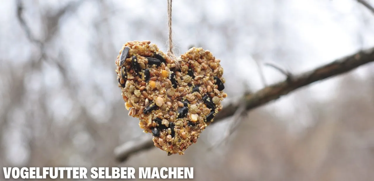 Vogelfutter selber machen