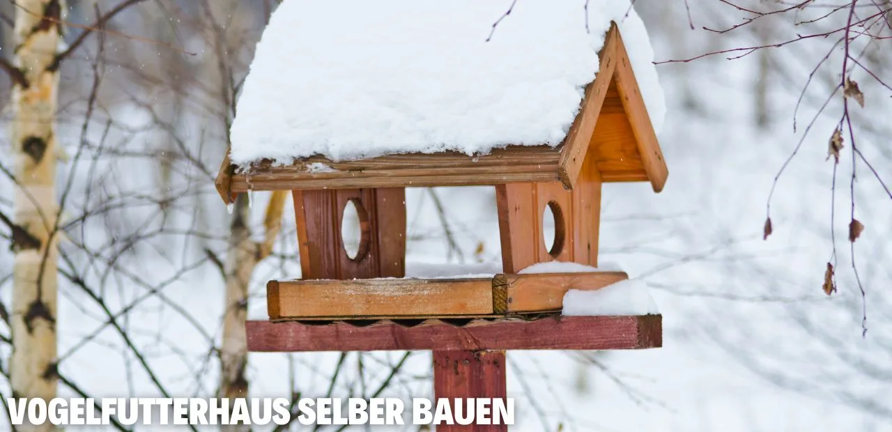 Vogelfutterhaus selber bauen