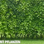 Sichtschutz mit Pflanzen