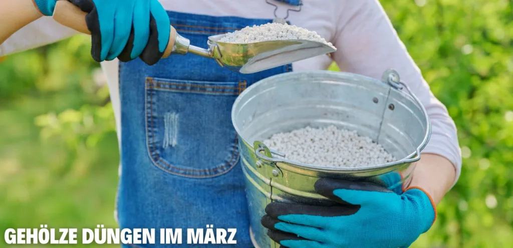 düngen