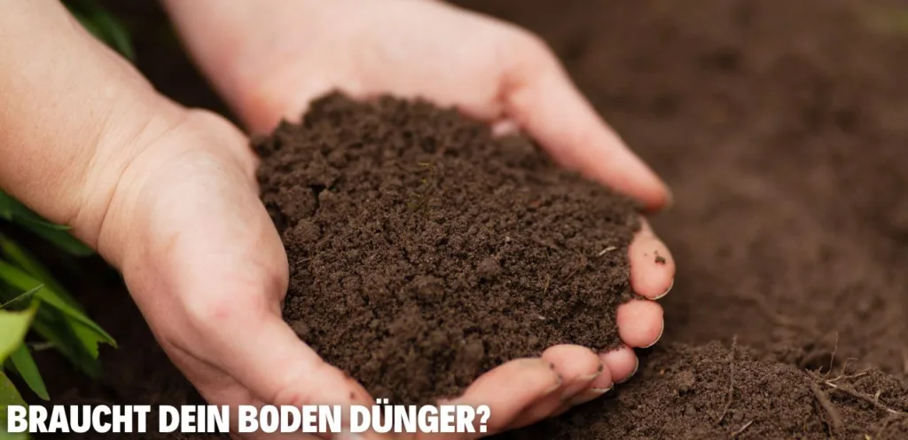 dünger
