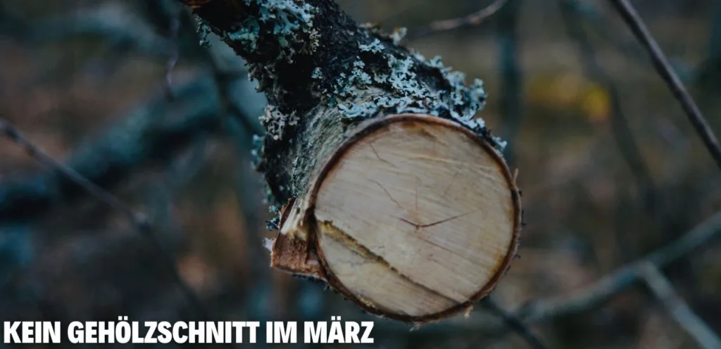 gehölze