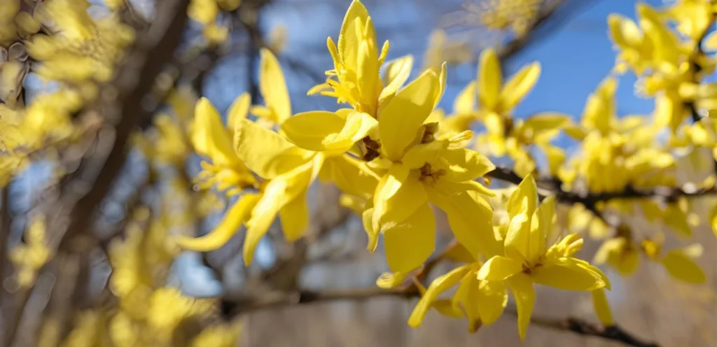 april 2