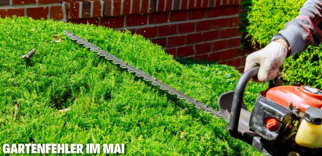 Gartenfehler im Mai