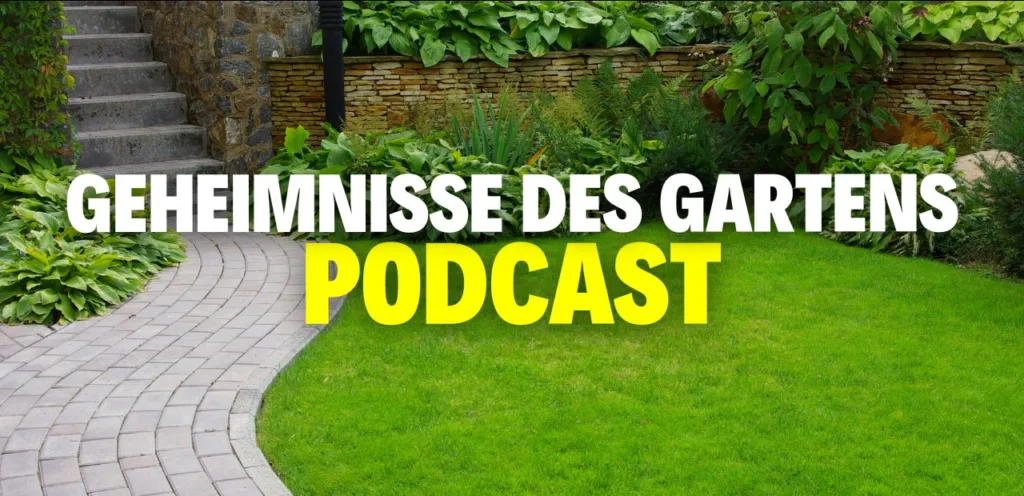 Podacast