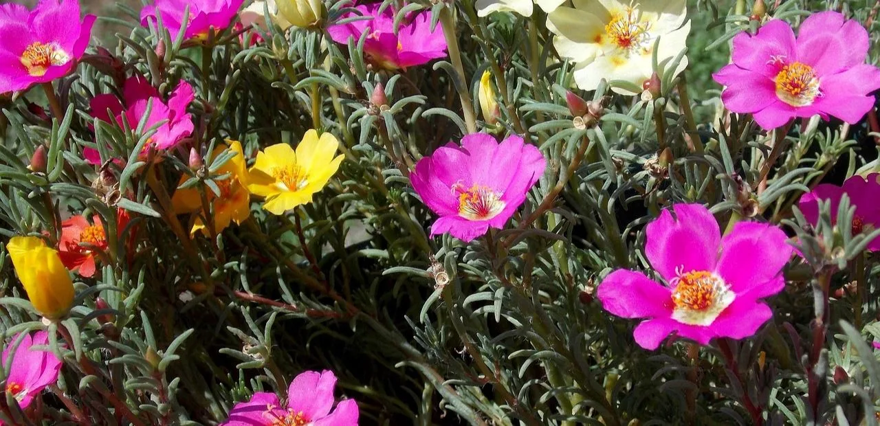 Die Kunst der Lichtgestaltung im Garten lichtgestaltung im garten