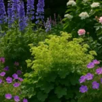 Mehrjährige Pflanzen im garten