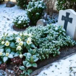 Die 10 besten Pflanzen für die Grabbepflanzung im Winter