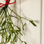 Mistelzweig Deko Weihnachten mit roter Schleife an weißer Holzwand