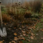 Spaten steckt im herbstlichen Gartenboden zwischen Laub und verwelkten Stauden im November