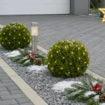 Einfahrt mit Weihnachtsdeko, Buchsbäumen, Lichterketten und Tannenzweigen im Winter