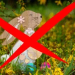 Frühlingsdeko im Garten: Typische Fehler erkennen und vermeiden für ein harmonisches Gesamtbild