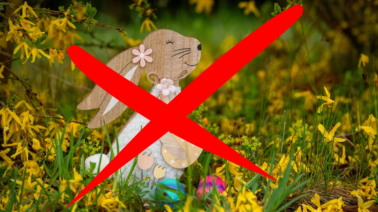 Frühlingsdeko im Garten: Typische Fehler erkennen und vermeiden für ein harmonisches Gesamtbild