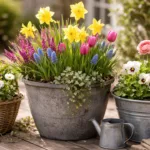 Frühlingsdeko für Pflanzkübel mit Tulpen, Narzissen und Primeln auf sonniger Terrasse