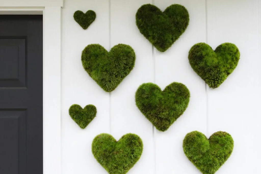 Deko im März für den Hauseingang mit Moos und grünen Wandakzenten