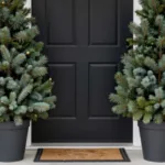 Hauseingang im Februar dekorieren mit zwei immergrünen Tannen im Kübel neben schwarzer Haustür