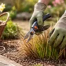 Gartenarbeiten im März: Stauden und Ziergräser werden fachgerecht zurückgeschnitten