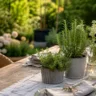 Gartentisch Deko im Mai mit Kräutern, Kerzenlicht und natürlicher Tischgestaltung im Garten