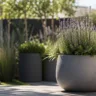 Moderne Gartendeko im Mai mit Pflanzgefäß, Lavendel und minimalistischer Terrasse