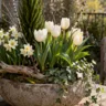 Deko für Pflanzkübel im April mit Tulpen, Narzissen und natürlicher Frühlingsgestaltung im Garten