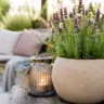 Gartendeko im Sommer mit Lavendel im Pflanzkübel und stimmungsvoller Terrassenbeleuchtung