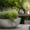 Gartendeko aus Beton mit großer Betonschale und Lavendel auf moderner Terrasse