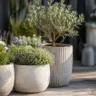 Gartendeko mit Blumentöpfen auf moderner Terrasse mit Lavendel und großen Pflanzgefäßen.