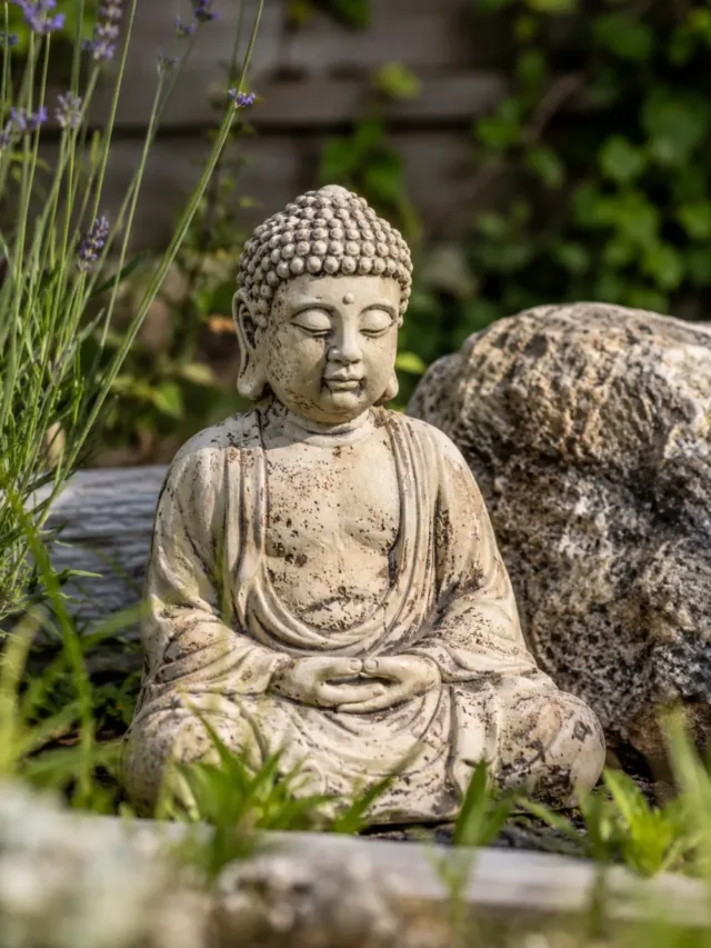 cropped-Garten-deko-96.webp