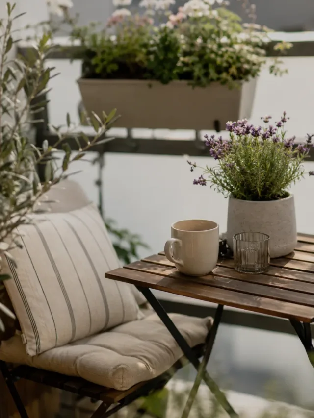 cropped-Gartendekos-26.webp