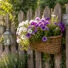 Gartenzaun Deko im Juli mit Blumenkasten, Laterne und sommerlicher Gartengestaltung am Holzzaun.