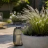 Moderne Gartendeko im Juni mit Pflanzgefäß, Ziergras und Laterne auf stilvoller Terrasse.