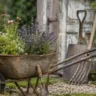 Gartendeko mit alten Werkzeugen und bepflanzter Schubkarre vor rustikalem Gartenhaus.