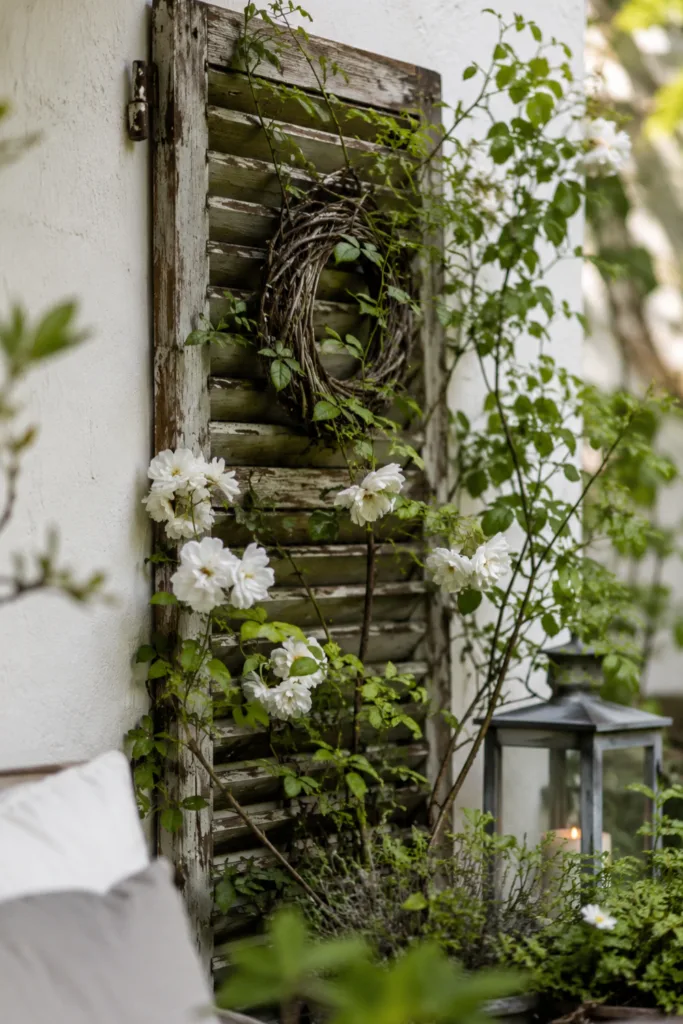 Terrassendeko mit alten Sachen: Verwitterter Fensterladen als Hintergrundgestaltung mit Kletterpflanzen und Deko.
