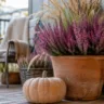 Herbstdeko für den Balkon mit Heide, Kürbis und Laterne in warmen Naturtönen.