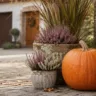 Herbstdeko für die Einfahrt mit Kürbis, Heide, Ziergras und Laterne vor einem Wohnhaus.