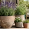 Terrassendeko mit Blumentöpfen, Lavendel und Ziergras auf einer gemütlichen Holzterrasse.