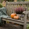 Herbstdeko für die Gartenbank mit Kürbissen, Heide und Laterne im herbstlichen Garten.