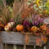 Herbstdeko für den Gartenzaun mit Heide, Kürbissen, Beeren und Gräsern.