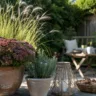 Kleiner Garten mit Deko im August, Terrakottatöpfen, Ziergras, Fetthenne und gemütlichem Sitzplatz.