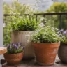 Balkondeko mit Blumentöpfen auf einem sonnigen Balkon mit Terrakotta, Keramik und üppigen Blüten.