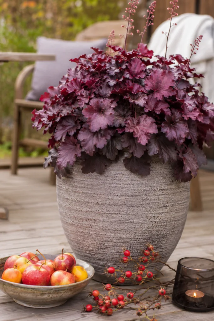 Herbstdeko für den Garten mit Purpurglöckchen, Zieräpfeln und Hagebutten am Sitzplatz.